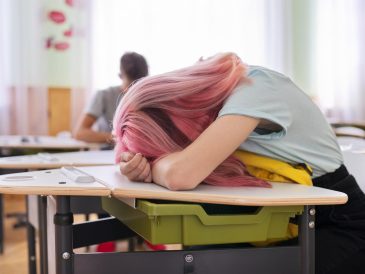 Scuole private a Jesi