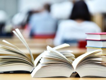 Scuole private a Suzzara